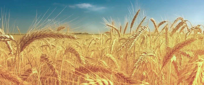 Rhema Standort Bürmoos